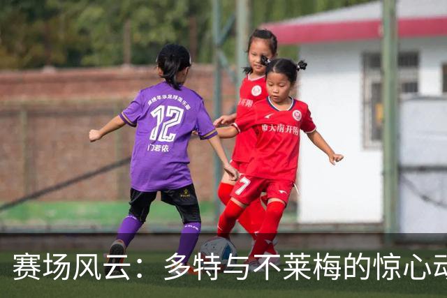 赛场风云：多特与不莱梅的惊心动魄平局之战